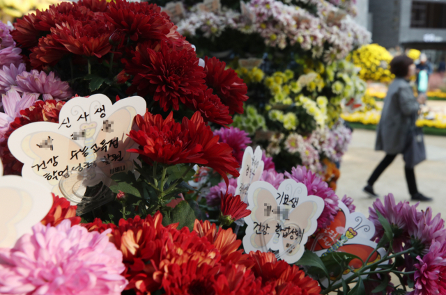 수능시험을 보름 여 앞둔 지난달 말 서울 조계사 경내에 놓인 국화꽃에 수능 고득점을 기원하는 카드가 꽂혀 있다. 연합뉴스