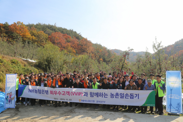 농촌일손돕기 참석자들이 기념촬영을 하고 있다. 경북농협 제공