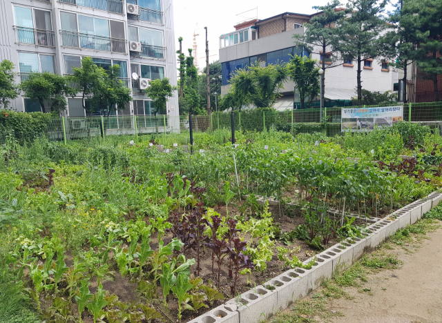 서울시 성동구의 한 아파트 텃밭. 전국아파트입주자 대표회의 연합회 제공