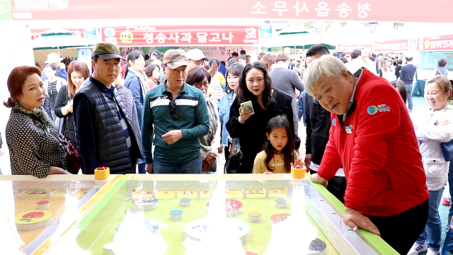 지난달 30일부터 3일까지 경북 청송군 청송읍 용전천변에서 열린 제15회 청송사과축제에서 청송읍행정복지센터가 관광객과 주민을 대상으로 