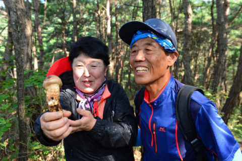 지난해 봉화송이축제에 참가한 체험객이 채취한 송이를 자랑하고 있다. 봉화군 제공