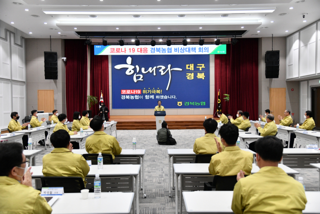 이성희 농협중앙회 회장과 경북농협 임직원들이 비상대책회의를 열고 있다. 경북농협 제공