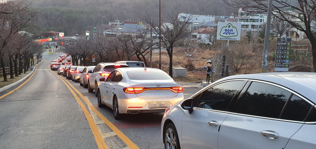 지난 29일 대구시 동구의 한 자동차 극장에 들어가기 위해 차량들이 줄지어 서있다. 배주현 기자