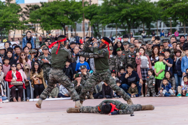 지난해 해병대문화축제. 포항시 제공