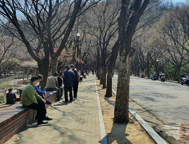 23일 오전 11시쯤 대구 달서구 두류공원을 찾은 노인들이 장기 두는 것을 구경하거나 이야기를 하며 시간을 보내고 있다. 배주현 기자