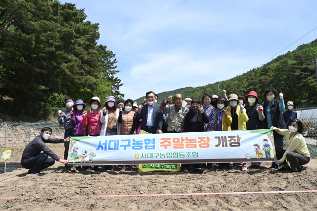 서대구농협이 7일 대구 북구 조야동에 도시민 주말농장을 열고 분양자 30여 명이 참석한 가운데 개장식을 열었다. 서대구농협 제공