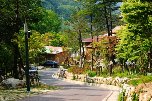 경북 구미시는 6월 1일부터 옥성자연휴양림을 재개장 한다. 매일신문 DB