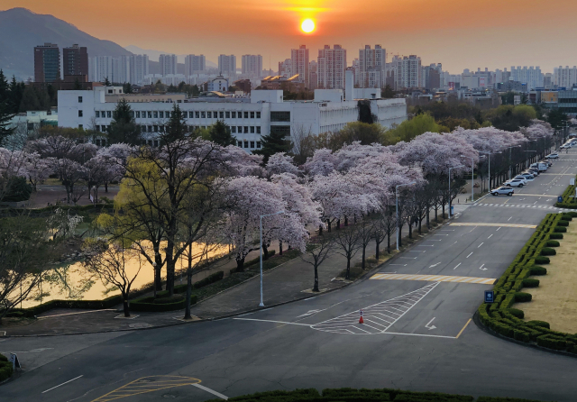 영남대 전경. 연합뉴스