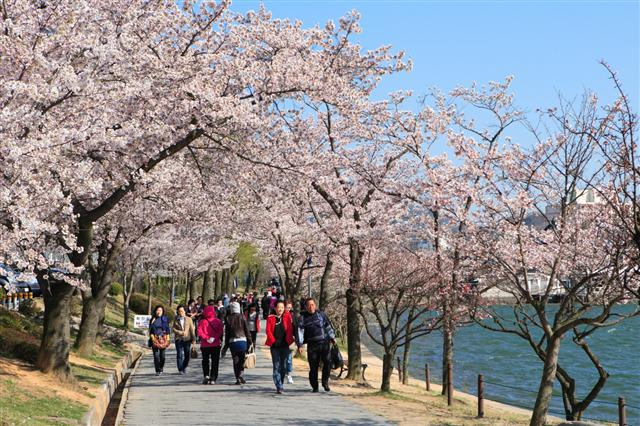 대구경북연구원 황희정 박사는 