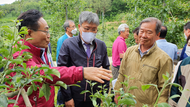 봉화군 우박 피해현장을 방문한 조재호 농림축산식품부 차관보(가운데)가 엄태항 봉화군수(왼쪽 첫번째)로부터 피해 현황을 설명듣고 있다. 봉화군 제공