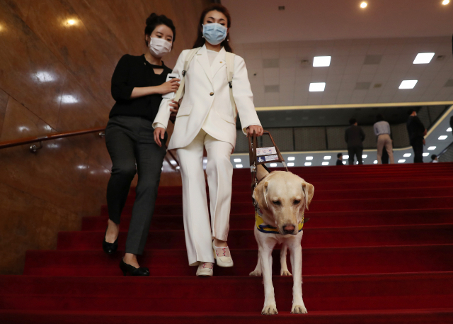 21대 국회가 개원한 5일 미래통합당 김예지 의원이 본회의를 마치고 안내견 조이와 함께 계단을 내려오고 있다. 연합뉴스