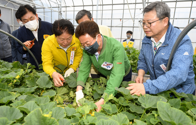 이철우 경북도지사〈사진 오른쪽에서 두번째〉가 경북농기원이 국내 최초로 개발한 