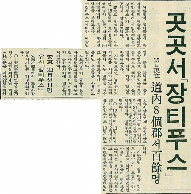 1970년 6월 16일자 매일신문 7면에 실린 장티푸스 관련 기사. 매일신문 DB