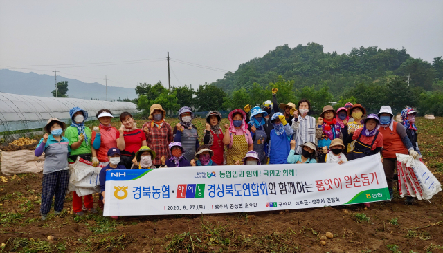 농협 상주시지부와 한국여성농업인 구미시·상주시·성주군연합회 회원 등 40여 명이 경북 상주시 공성면 초오리에서 감자 수확 작업을 지원하며 기념촬영 중이다. 경북농협 제공