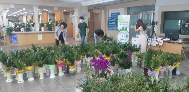 경산시청 여정회는 9일 시청 중앙 현관에서 승진‧전보 축하화분 나눔 행사를 하고 있다. 경산시 제공