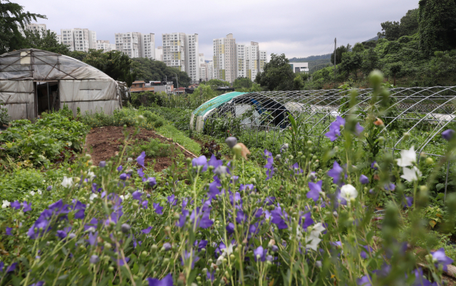 20일 서울 서초구 내곡동 일대 그린벨트(개발제한구역) 너머로 아파트 단지가 보이고 있다. 이날 문재인 대통령은 청와대에서 가진 정세균 국무총리와의 주례회동에서 주택공급 물량 확대 방안에 대해 협의한 결과 해제 여부를 놓고 논란이 이어지고 있는 그린벨트와 관련해 미래세대를 위해 해제하지 않고 계속 보존해 나가기로 결정했다. 연합뉴스