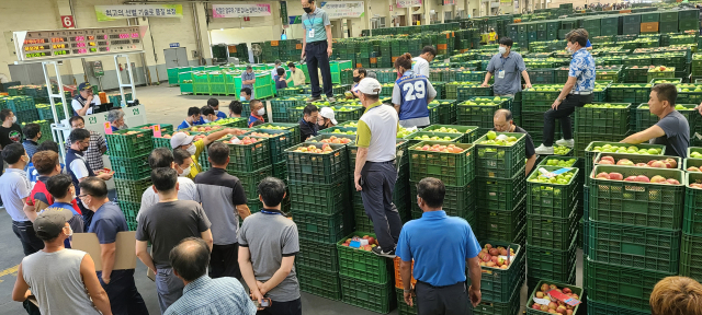 17일 연휴가 끝나고 개장된 안동농협 농산물공판장에서는 사과 상자 사용 수수료를 둘러싸고 상자 임대업체와 중도매인들 사이에 빚어진 마찰로 중도매인들이 낮은 가격에 응찰해 거래가 성사되지 않으면서 상자 마다 