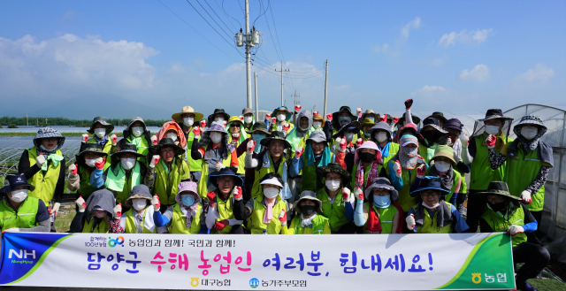 대구농협 직원들이 달성군 자매도시 전남 담양군에서 수해복구 활동을 지원했다. 대구농협 제공