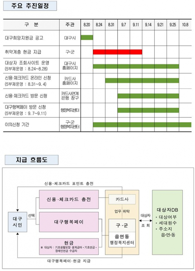 대구희망지원금 지급 계획 관련 요약 설명. 대구시 제공