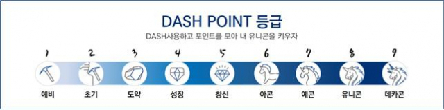 9단계 DASH 포인트 등급. 대구창조경제혁신센터 제공