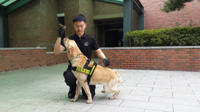 강아지와의 교감 능력을 키우기 위해 허정빈 씨는 어질리 (각종 장애물을 빠르게 뛰어넘고 통과하는 놀이) 대회도 꾸준히 참가하고 있다.