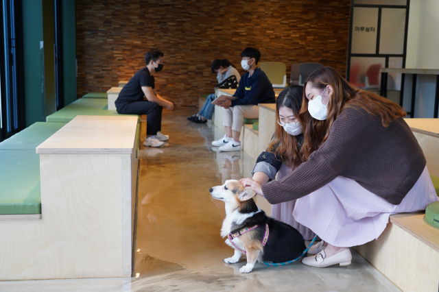 수성대 학생들이 최근 오픈한 신비관 4층 휴게공간 