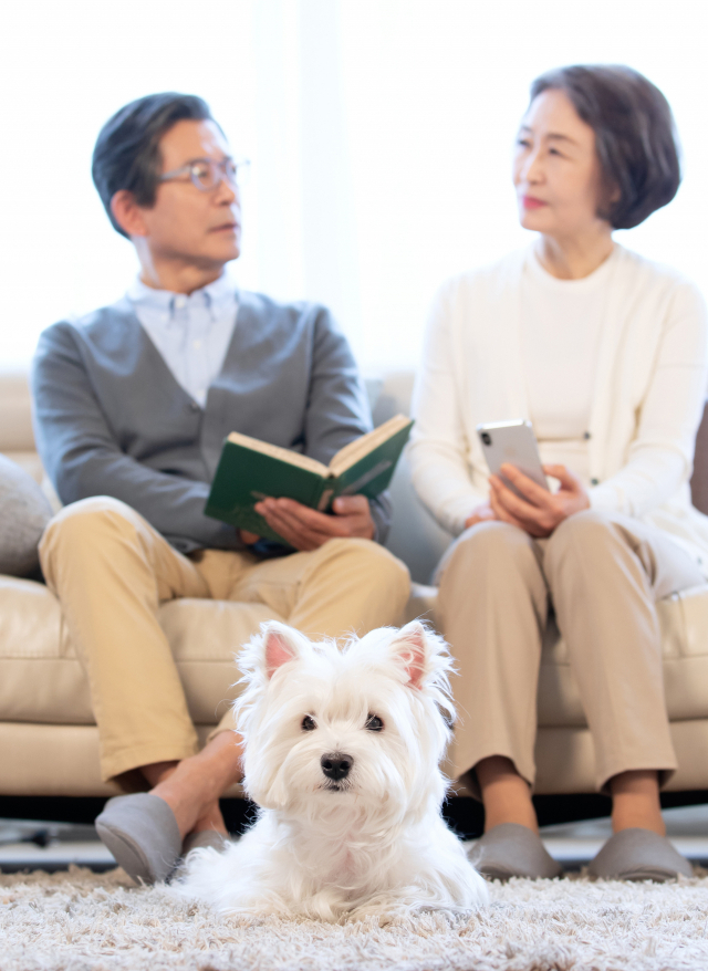 동물입양은 생활 공간, 시간, 그리고 얼마의 돈이 필요할 지를 현실적으로 고민하고 결정해야 한다.