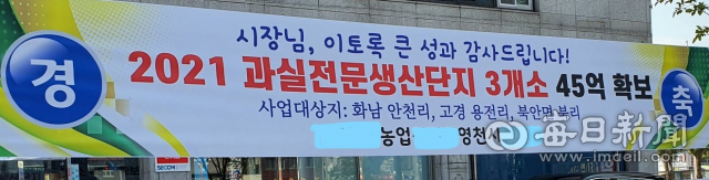 영천시가 지역 농업인단체 명의로 내건 자치단체장 치적 홍보 현수막과 관련, 영천시선관위가 공직선거법 위반 여부 조사에 나섰다. 매일신문DB