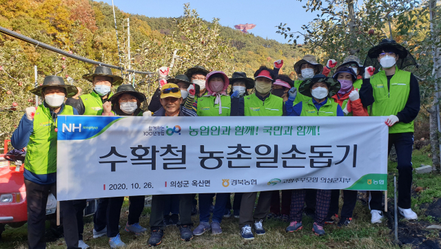 26일 경북 의성군 옥산면에서 열린 수확철 농촌일손돕기 참석자들이 기념촬영을 하고 있다. 경북농협 제공