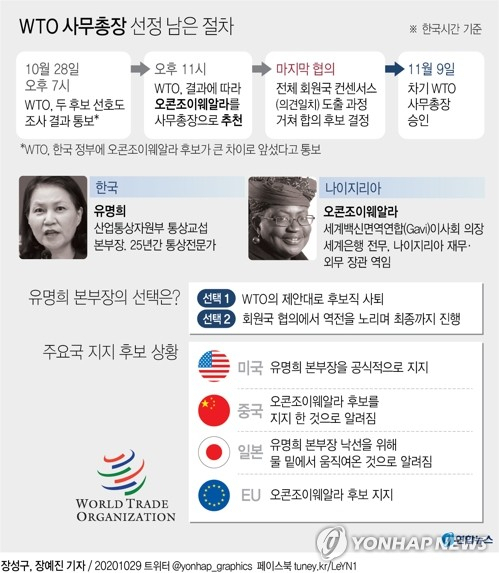 미국 무역대표부(USTR)는 28일(현지시간) 세계무역기구(WTO) 차기 사무총장으로 유명희 산업통상자원부 통상교섭본부장을 지지한다고 밝혔다. 연합뉴스