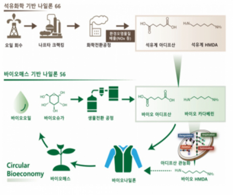 한국섬유개발연구원 등이 2025년까지 기존 석유화학 원료 대신 바이오 원료로 만드는 나일론 섬유 개발에 나선다. 석유화학 기반 나일론, 바이오매스 기반 나일론 설명 그래픽. 한국섬유개발연구원 제공