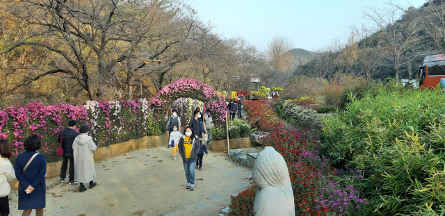 경상북도환경연수원 내에 조성된 국화의 길에 탐방객들이 꽃 향기를 즐기고 있다. 경북환경연수원 제공