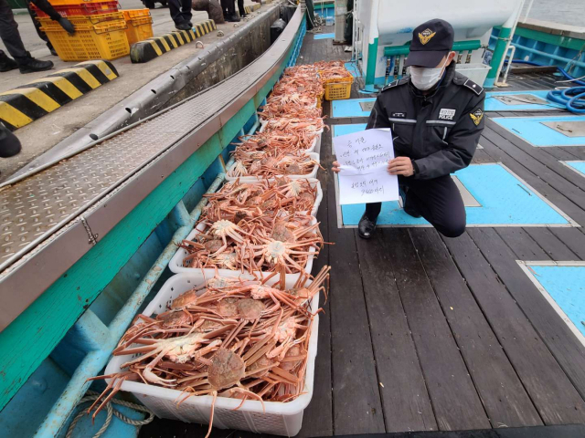 지난 18일 오후 포항시 남구 구룡포읍 구룡포항에 입항하려다 적발된 대게 불법 조업 어선. 포항해양경찰서 제공.