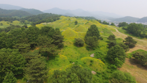 대구 동구 불로동 고분군. 산책하며 사색하기 좋다. 매일신문DB