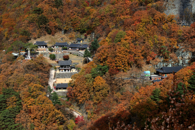 청량사 전망대에서 본 청량사 전경