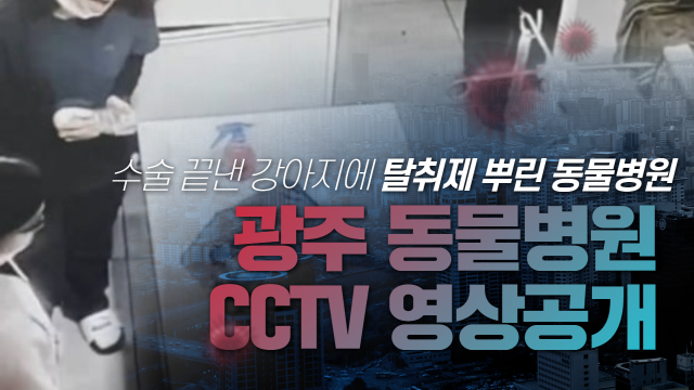 광주 동물병원 강아지 학대 CCTV 영상 공개