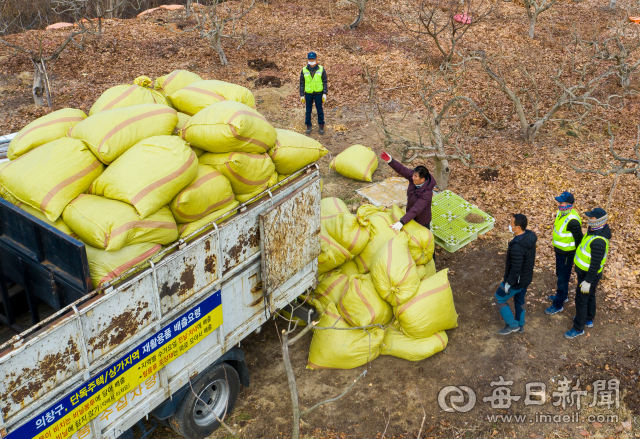 지난 10일 창원시 의창구청 환경실무원들이 가로수 낙엽을 담은 포대를 트럭으로 싣고와 밭에 내리고 있다. 김태형 선임기자 thk@imaeil.com