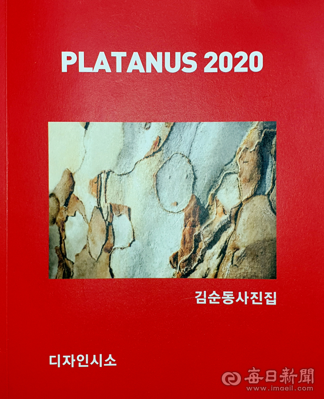 플라타너스2020 사진집