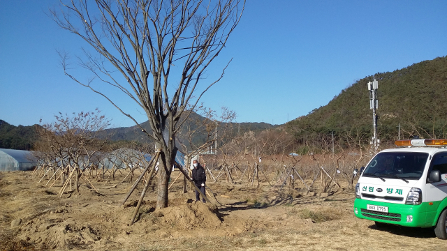 울진군 나무은행. 울진군 제공