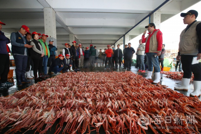 경북 포항 구룡포수협 어판장에서 대게 경매가 이뤄지고 있다. 2일까지 대게 평균 경매가격은 평균 7천원선으로 작년동기에 비해 20% 이상 떨어진 것으로 집계됐다. 배형욱 기자