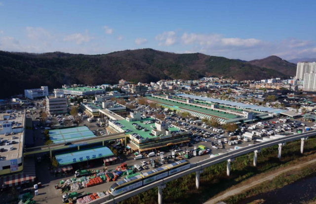 대구농수산물도매시장 전경. 대구시 제공