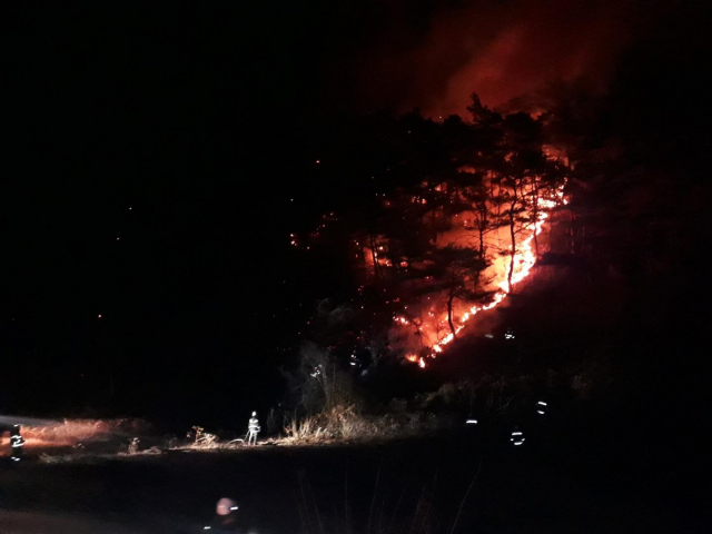 지난 16일 경북 영천시 화산면 한 야산에서 불이 났다. 산림청 제공