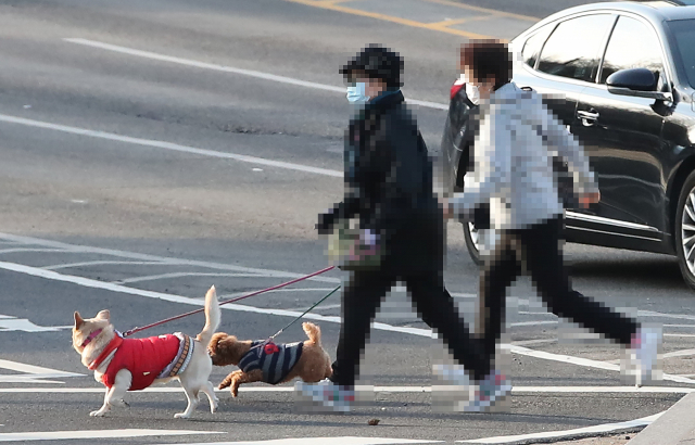 24일 오후 서울 중구의 한 거리에서 시민이 반려견과 산책하고 있다. 정세균 국무총리는 이날 코로나19 중앙재난안전대책본부 회의에서 국내에서 반려동물의 신종 코로나바이러스 감염증(코로나19) 첫 확진 사례를 발표했다. 연합뉴스