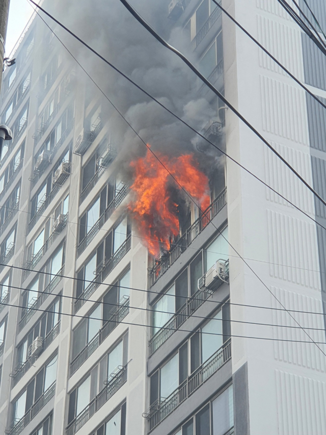 대구소방안전본부 제공