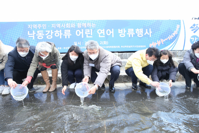 2일 낙동강 하굿둑 상류 삼락생태공원에서 한국수자원공사 등 관계자들이 어린 연어를 방류하고 있다. 한국수자원공사 제공