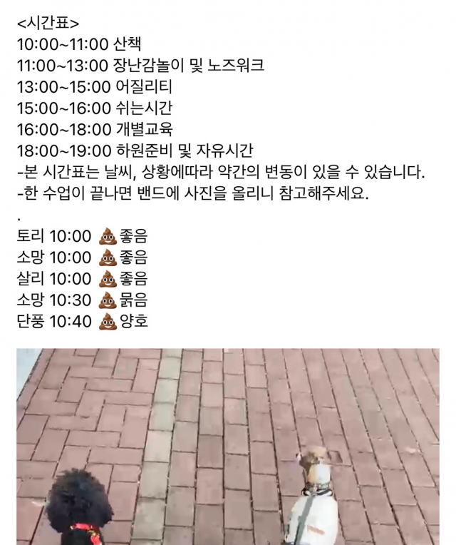 자신감이 부족한 아이에겐 냄새로 간식을 찾는 노즈워크 교육이 진행된다.