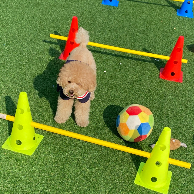 선생님이 직접 만든 간식과 타이밍을 제대로 맞춘 칭찬은 교육 효과를 높이는 데 큰 역할을 하고 있다.