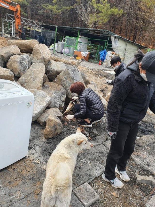 한정애 환경부 장관(왼쪽)이 배우 이용녀씨의 유기동물보호소를 찾아 화재 복구를 돕고 있다. 팅커벨프로젝트 제공. 연합뉴스