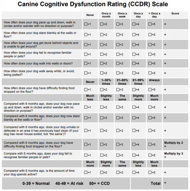 *Salvin, H.E., et al., The canine cognitive dysfunction rating scale (CCDR): a data-driven and ecologically relevant assessment tool. Vet J, 2011. 188(3): p. 331-6