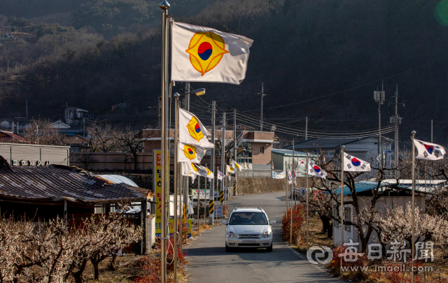 발해 후손들이 손수 제작해 마을 입구에 내 건 발해기가 봄바람에 펄럭이고 있다. 김태형 선임기자 thk@imaeil.com